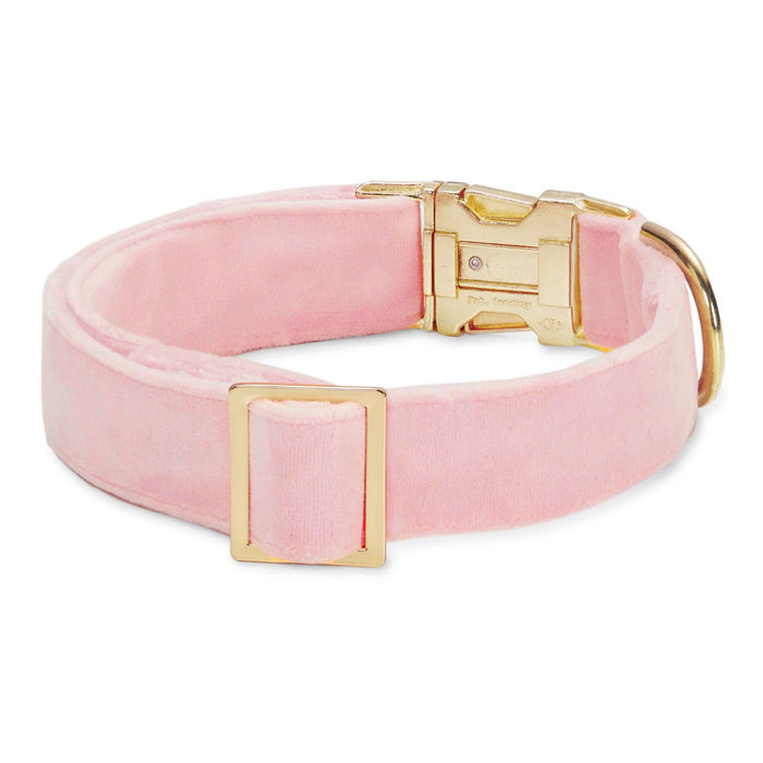 Blush Pink Velvet Dog Collar: Medium in Gold