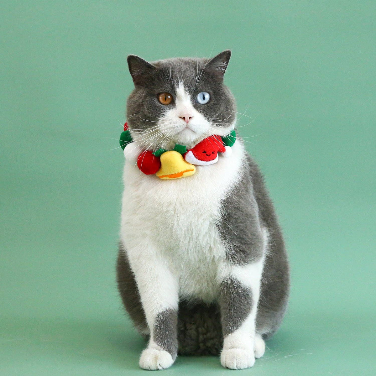 Christmas Tree Pet Collar