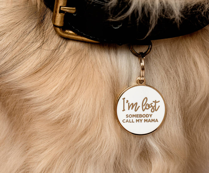 I'm Lost, Somebody Call My Mama Pet ID Tag