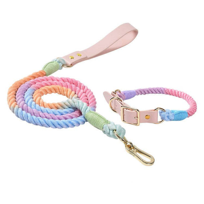 Colorful Dog Leash