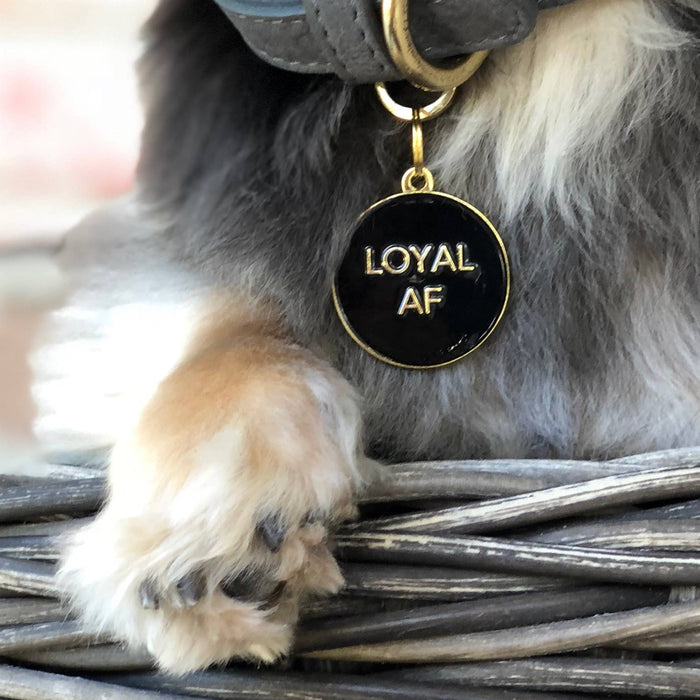 Loyal AF Pet ID Tag