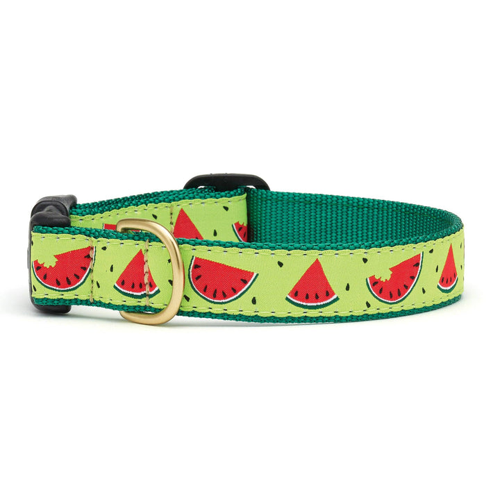 One in a Melon Dog Collar: XS