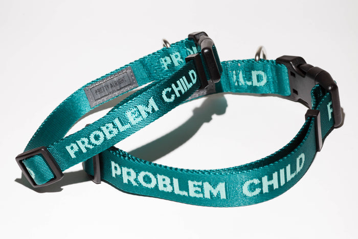 Problem Child Dog Collar: Large