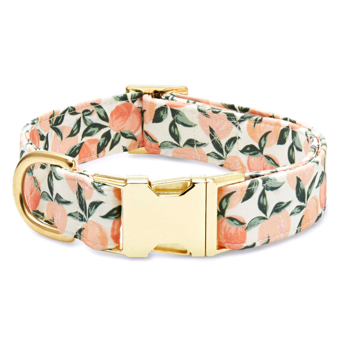 Peaches and Cream Dog Collar: Large in Gold