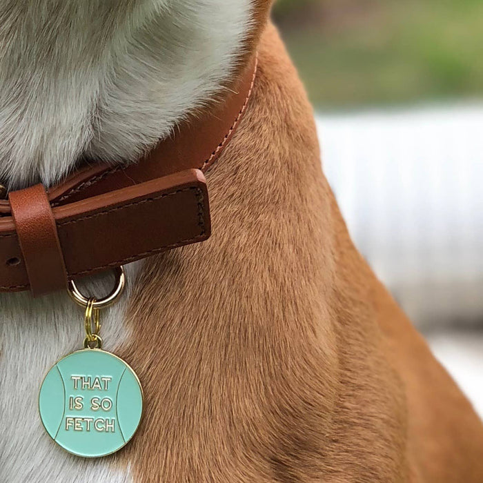 That is So Fetch Pet ID Tag