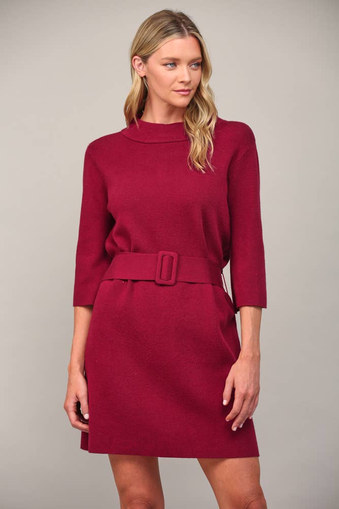 Belted in Burgundy Sweater Dress