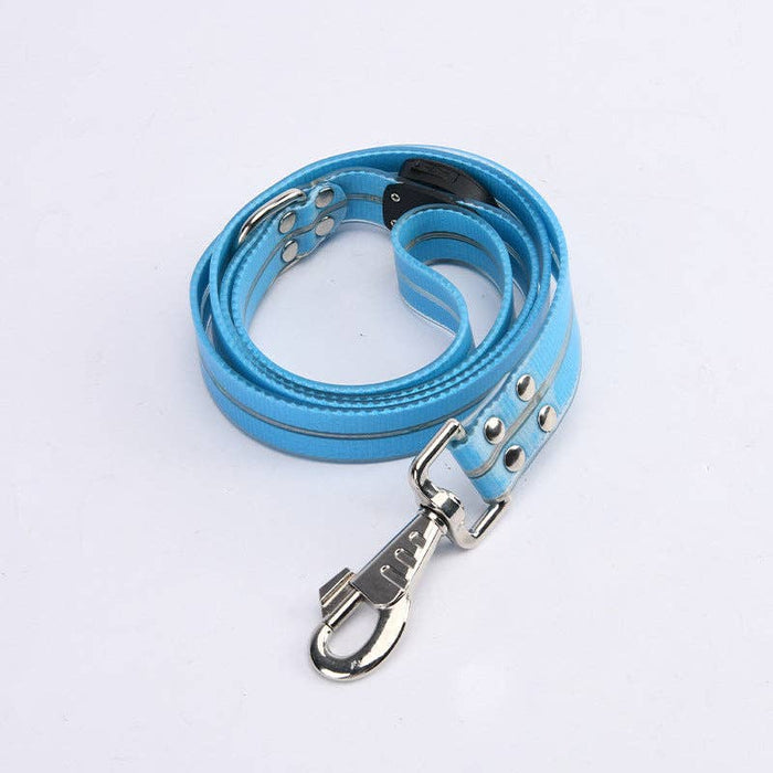 LED Dog Leash in Blue