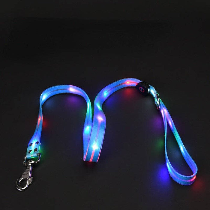 LED Dog Leash in Blue