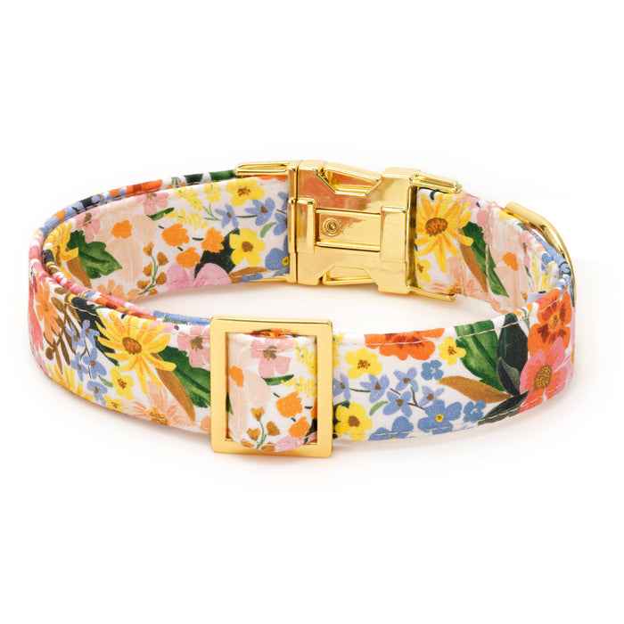 Rifle Paper Co. x TFD Marguerite Spring Dog Collar: Large in Gold