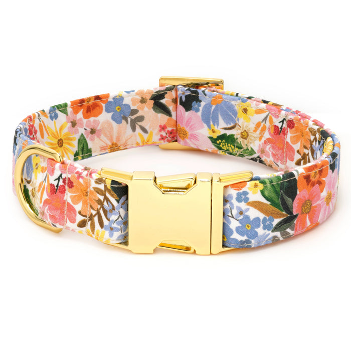 Rifle Paper Co. x TFD Marguerite Spring Dog Collar: Large in Gold