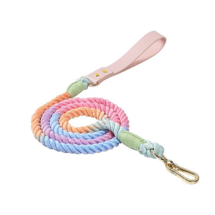 Colorful Dog Leash