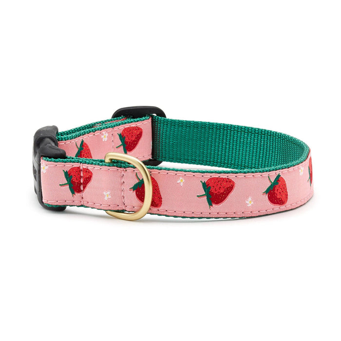 Strawberry Fields Dog Collar: Small