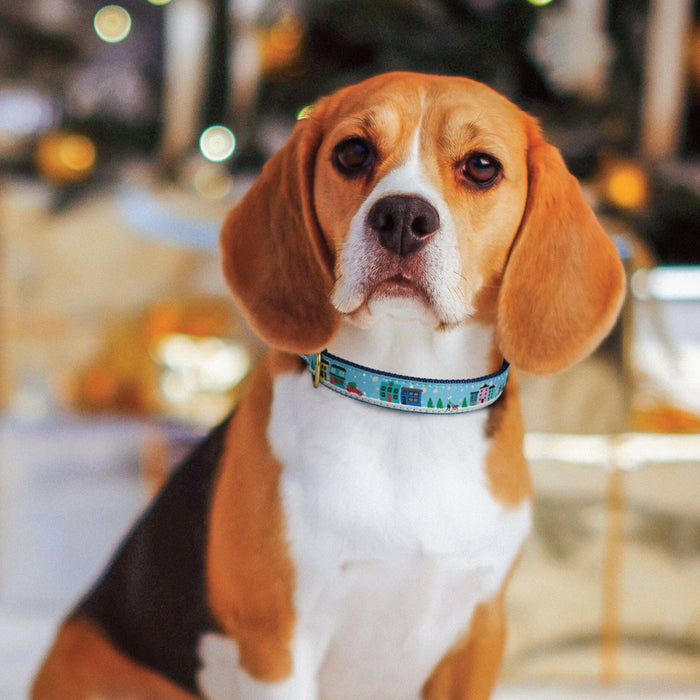 Christmas in the City Dog Collar