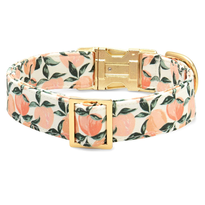 Peaches and Cream Dog Collar: Large in Gold