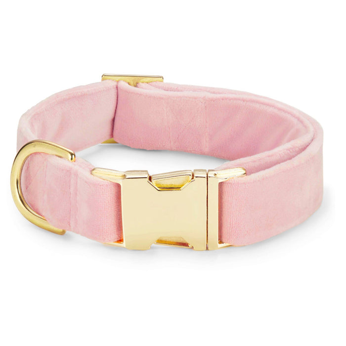 Blush Pink Velvet Dog Collar: Medium in Gold