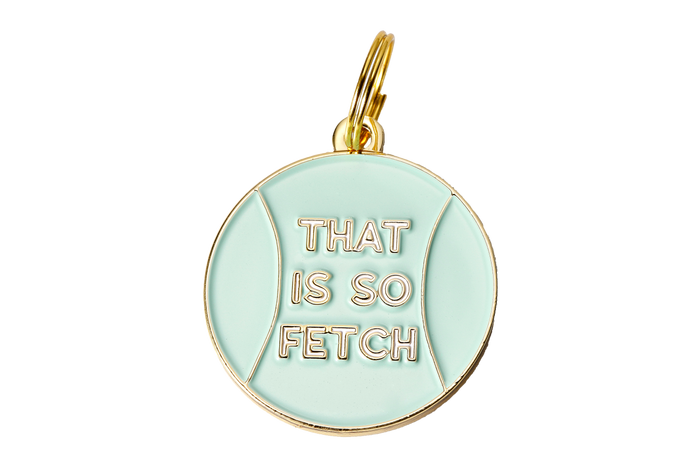 That is So Fetch Pet ID Tag